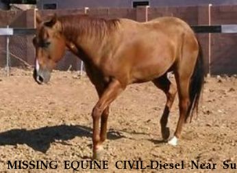 MISSING EQUINE CIVIL-Diesel Near Sun city, AZ, 85351